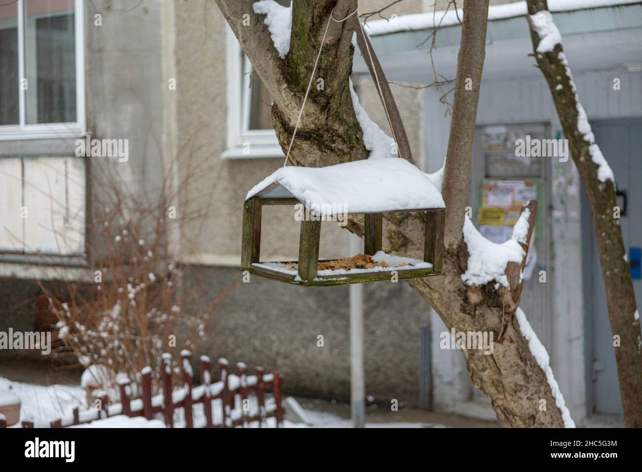 Holzvogelfutterhäuschen wiegt im Winter auf dem Baum Stockfoto