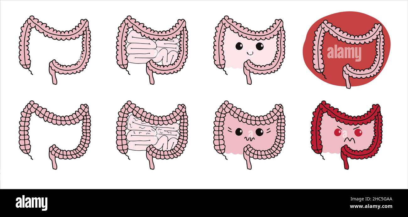 Satz einfacher Magen-Darm-Illustrationen des inneren Darmsystems. Gesundes Darmkonzept. Menschliche Körperteile im Vektor Stock Vektor