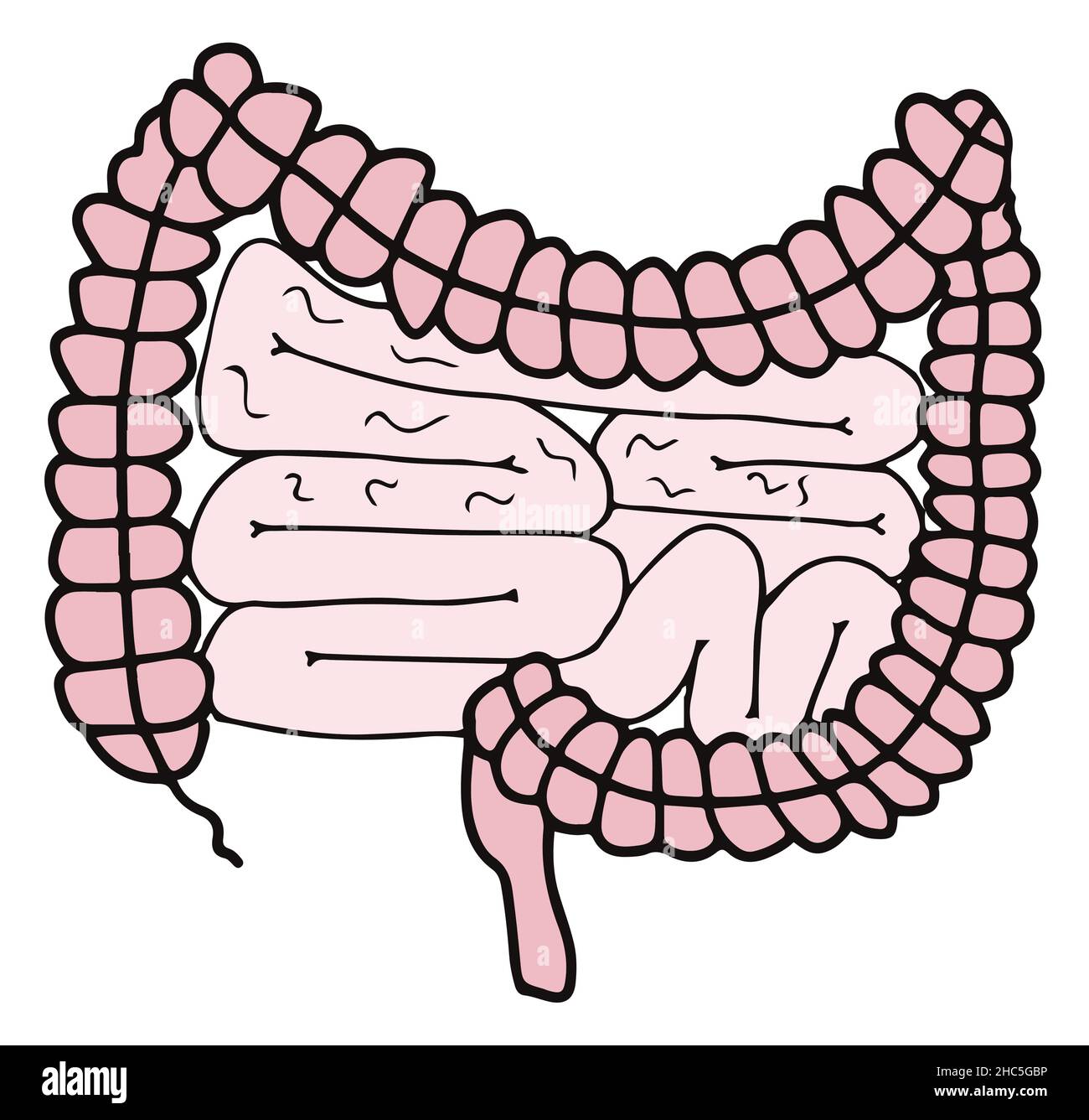 Einfache gastrointestinale Darstellung des inneren Darmsystems. Gesundes Darmkonzept. Menschliche Körperteile im Vektor Stock Vektor