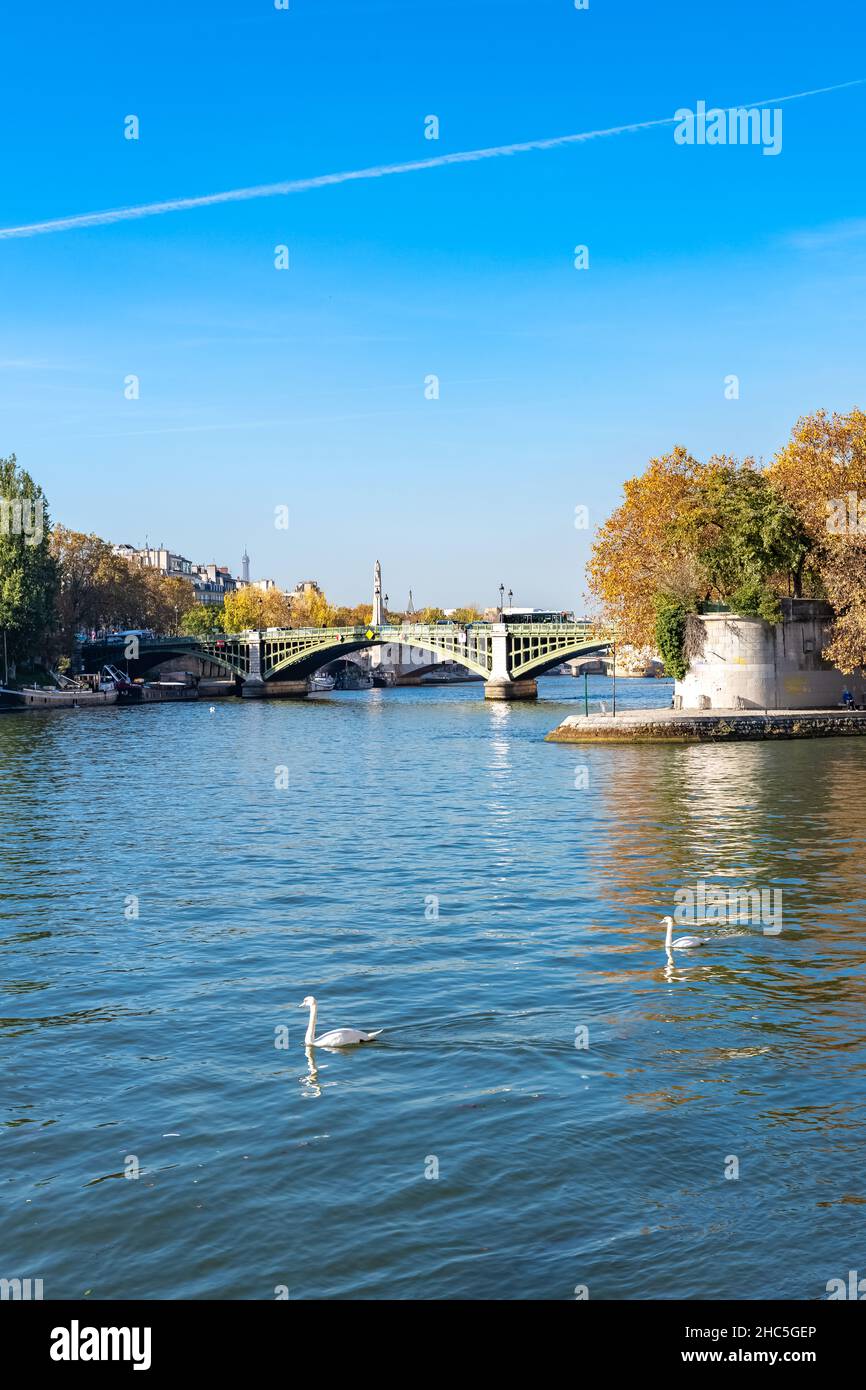 Paris, die Tournelle-Brücke und die ile Saint-Louis mit Schwanen auf der seine Stockfoto