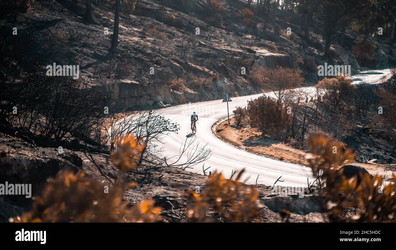Selektive Aufnahme eines Radfahrers auf einer Bergstraße im Vordergrund von Büschen mit trockenen Blättern Stockfoto