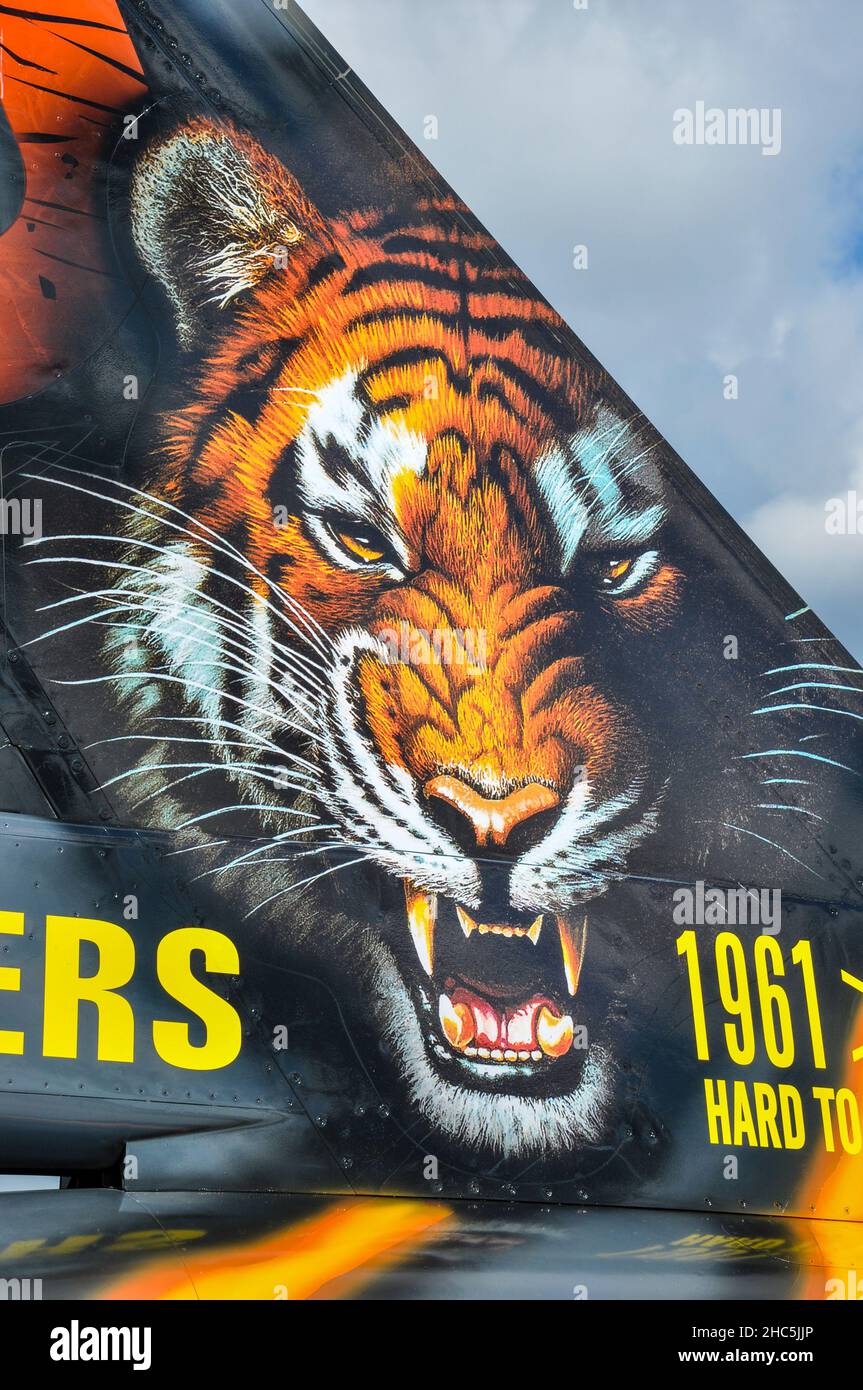 Belgien Air Force Lockheed Martin F-16A Fighting Falcon Kampfflugzeug FA-87 mit speziellen NATO-Tiger treffen Schwanz Kunstwerk. 31 Schmaldeel, 31 Geschwader Stockfoto