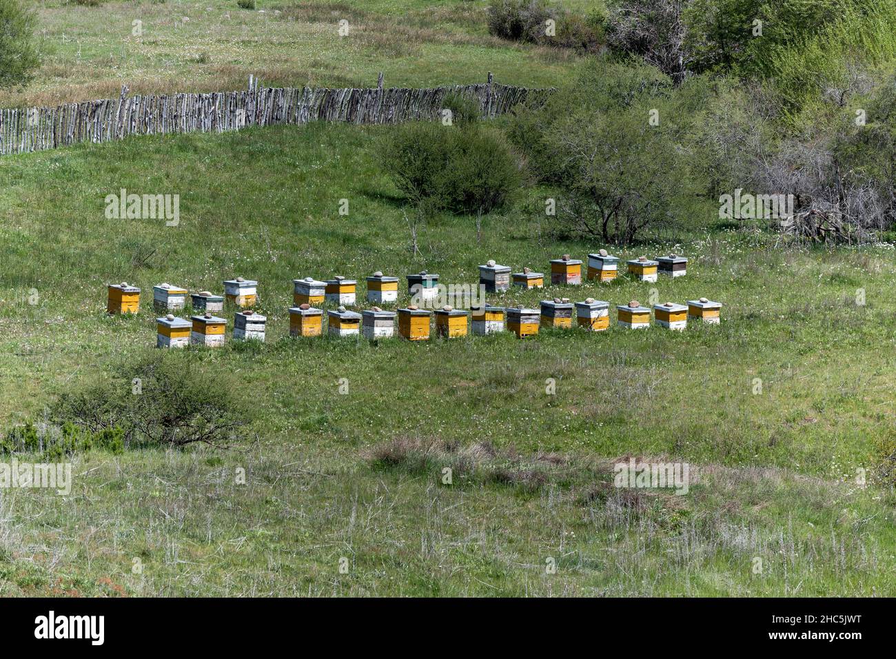 Bienenstöcke auf dem Berg in Patagonien, Argentinien. Stockfoto