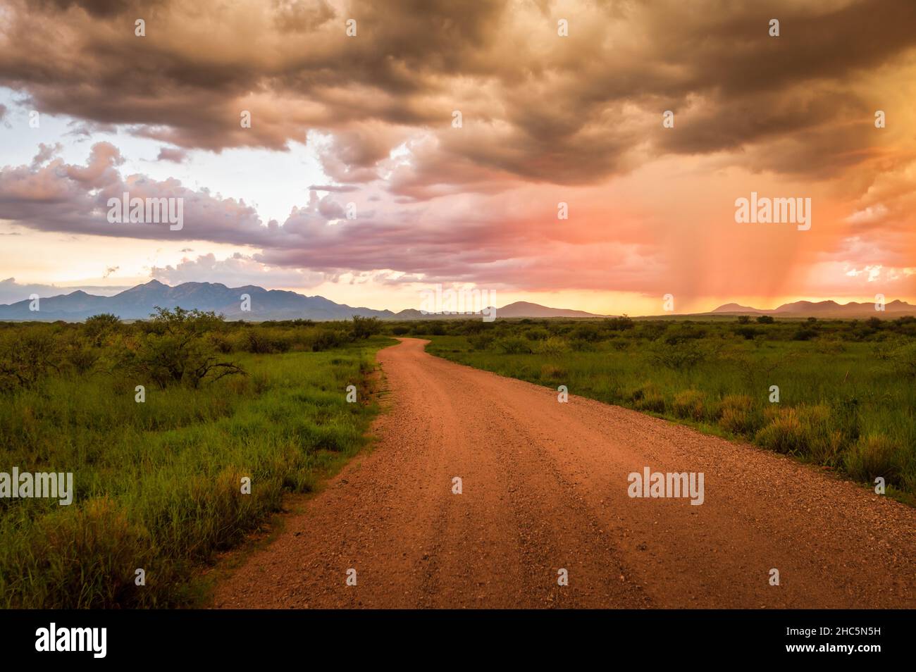 Lebhafter Sonnenuntergang in Sonoita Arizona, eine Straße, die in die Ferne führt. Stockfoto