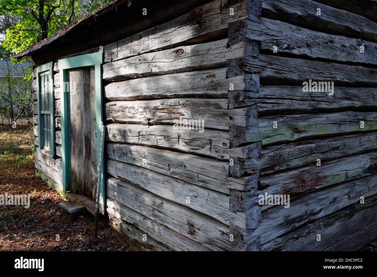 Ein Blick auf das kleine Holzhaus im Wald Stockfoto