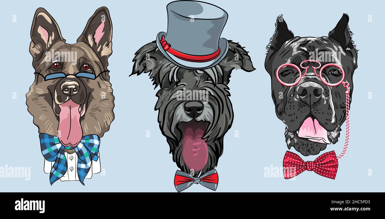 Set von Hipster Hund deutschen Schäferhund, Schnauzer und Cane Corso Rasse in Hut, Brille und Fliege Stock Vektor