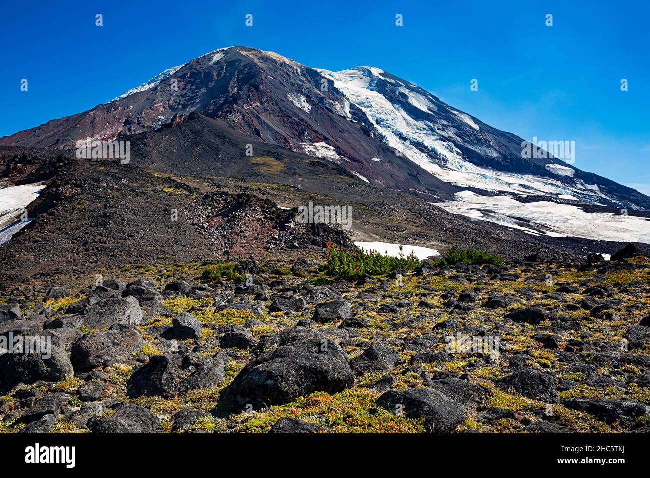 WA19911-00...WASHINGTON - Alpine Meadow auf einer alten Moräne über Adams Creek Meadow in der Mount Adams Wilderness Area. Stockfoto