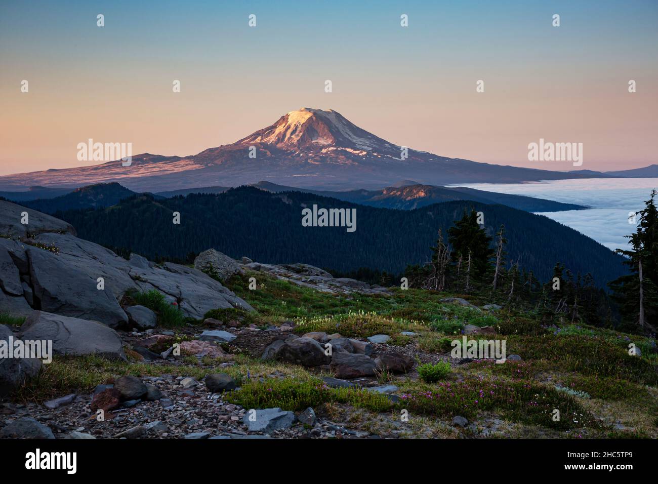 WA19922-00...WASHINGTON - Smoky Morning Sunrise on Mount Adams aus der Goat Rocks Wilderness im Gifford Pinchot National Forest. Stockfoto