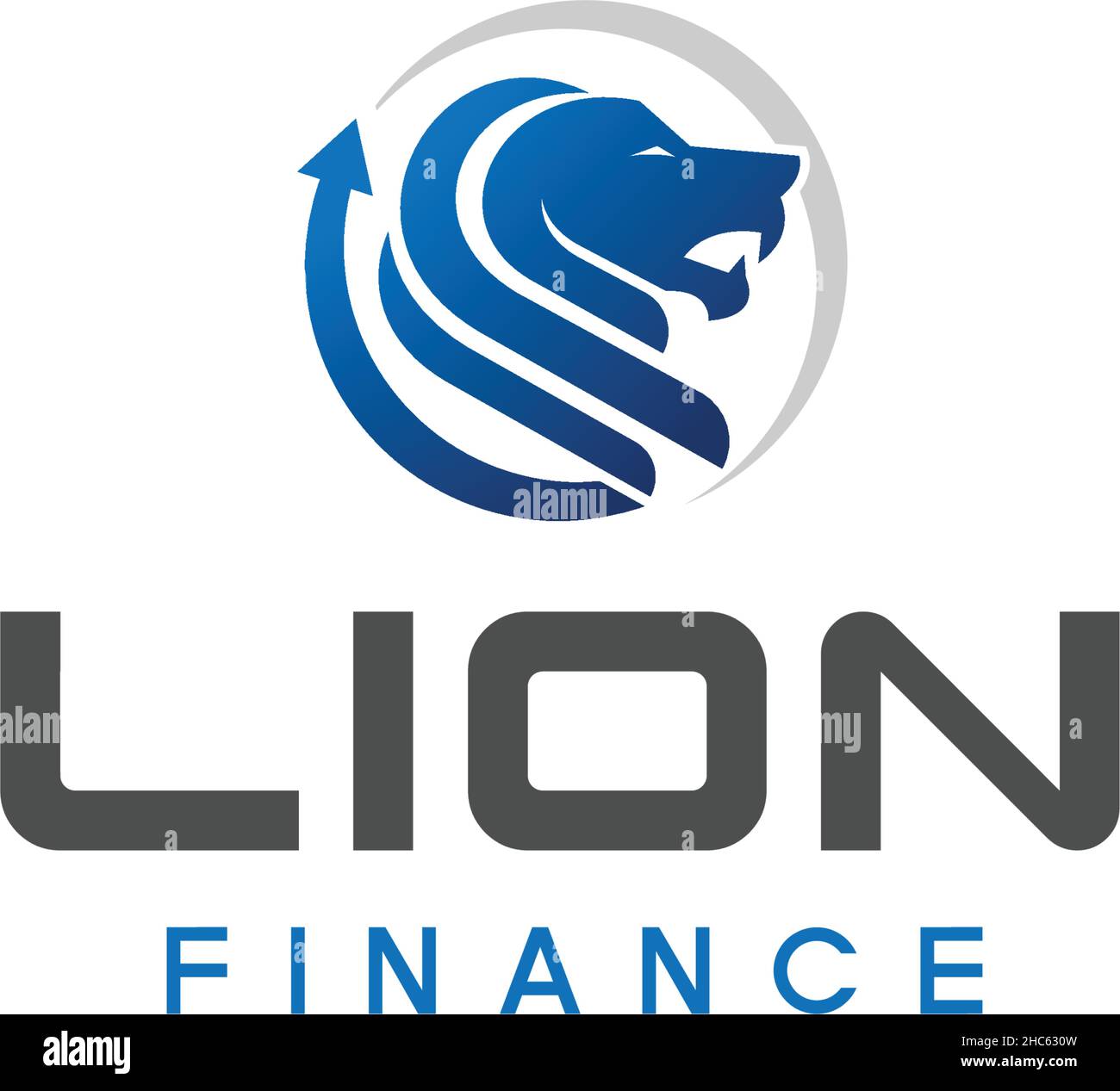 Modernes Design LION FINANZEN Buchhaltung Logo-Design Stock Vektor
