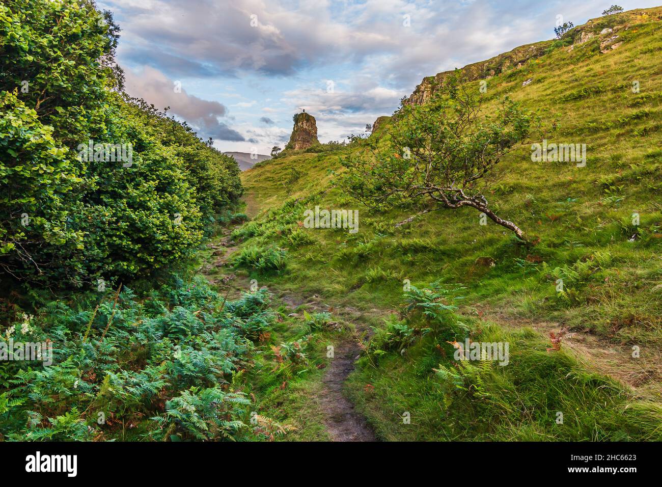 Landschaft mit Pfad, der zu einem Hügel auf der Isle of Skye in Schottland führt. Bäume und Sträucher mit Farnen. Wolken am Himmel im Sommer. Grüne Wiese auf der Th Stockfoto