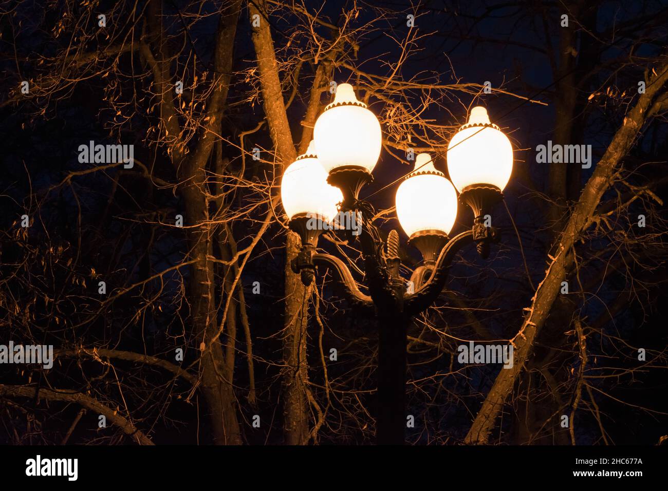 Nahaufnahme der elektrischen Straßenlampen im Park, die in der Nacht in Tambow, Russland, gefangen genommen wurden Stockfoto
