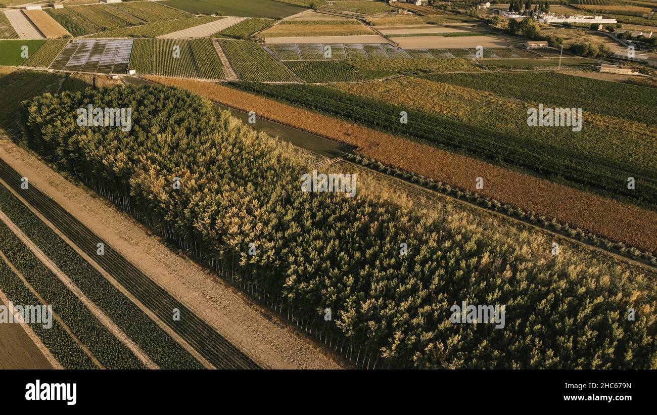 Luftaufnahme von landwirtschaftlichen Feldern voller verschiedener Arten von Kulturen Stockfoto