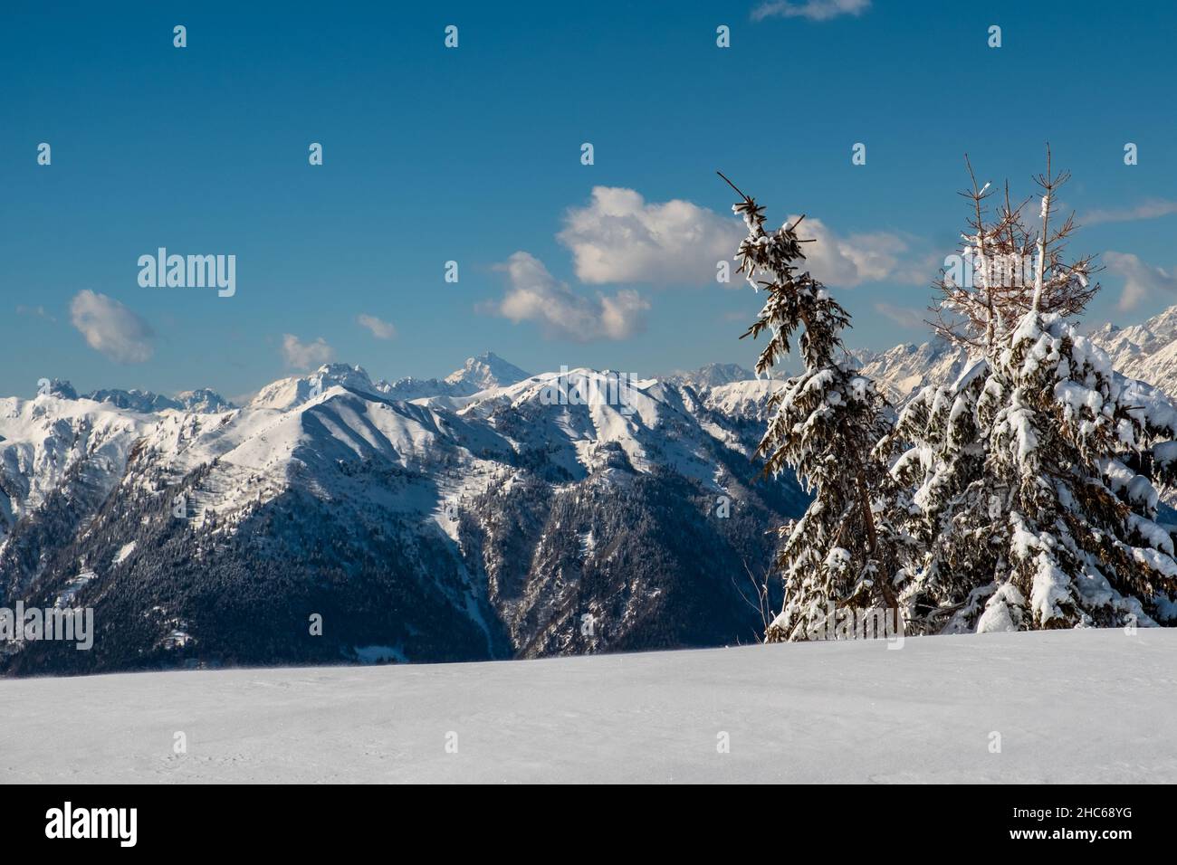 Auf dem Berg Zoncolan, Karnischen alpen nach einem großen Schneefall. Provinz Udine, Region Friaul-Julisch Venetien, Italien Stockfoto