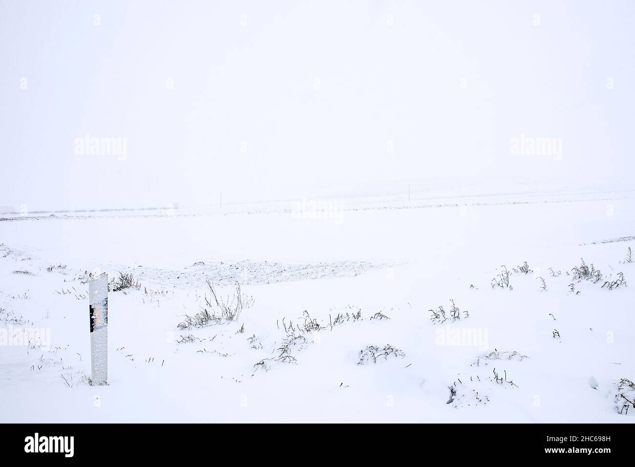 Schöne Landschaft eines Feldes voll mit Schnee bedeckt. Stockfoto
