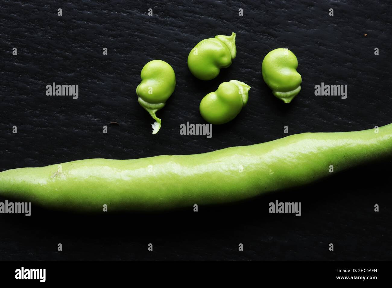 Fotografie einer breiten Bohnenschote und vier Bohnen isoliert auf Schieferhintergrund für Illustrationen zu Lebensmitteln Stockfoto