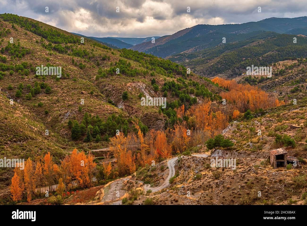 Typisch herbstliche Landschaft in den andalusischen Feldern. Stockfoto