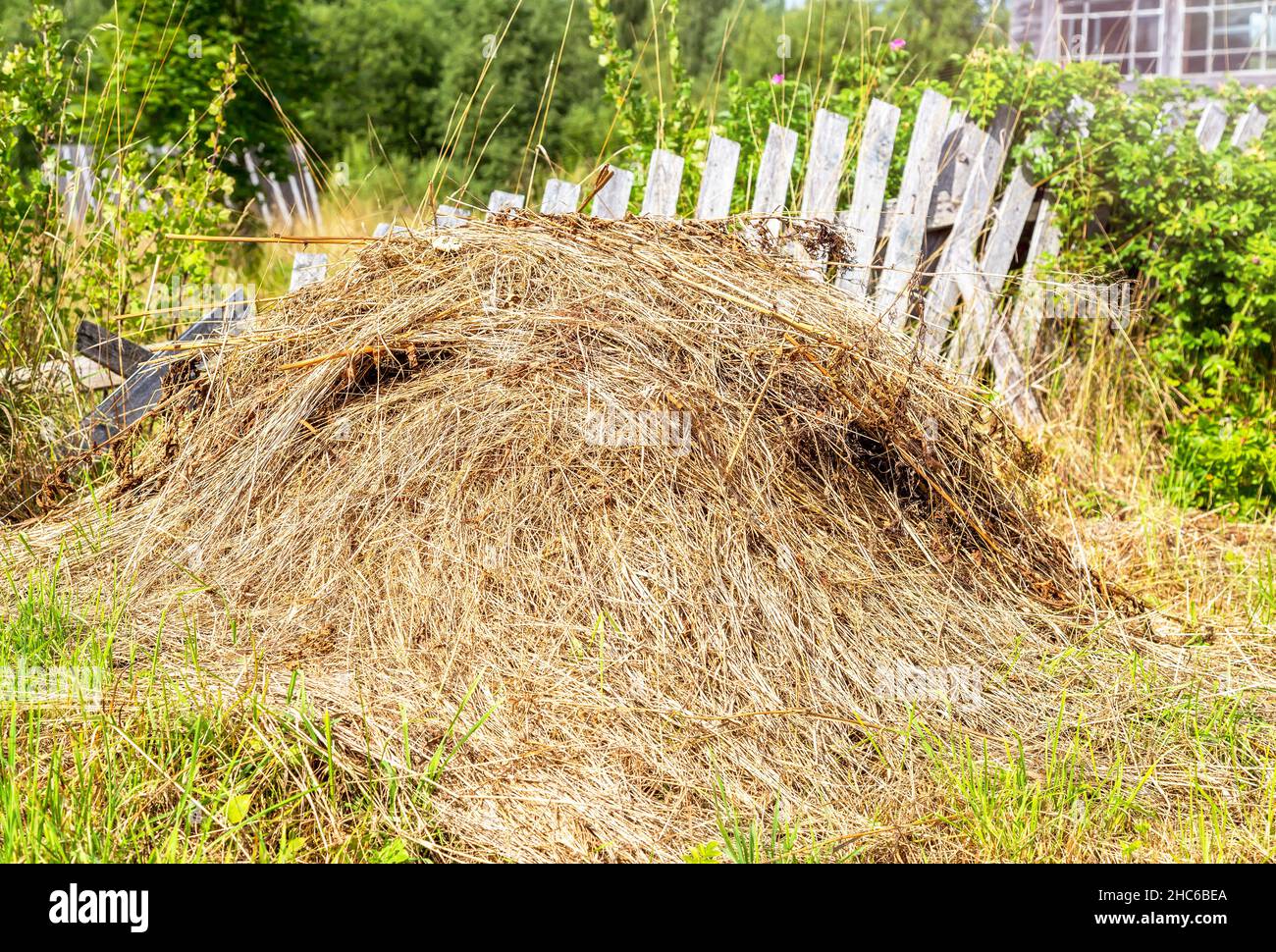 Stapel von trockenem Heu an sonnigen Sommertagen auf dem Land. Landschaft auf dem Land Stockfoto