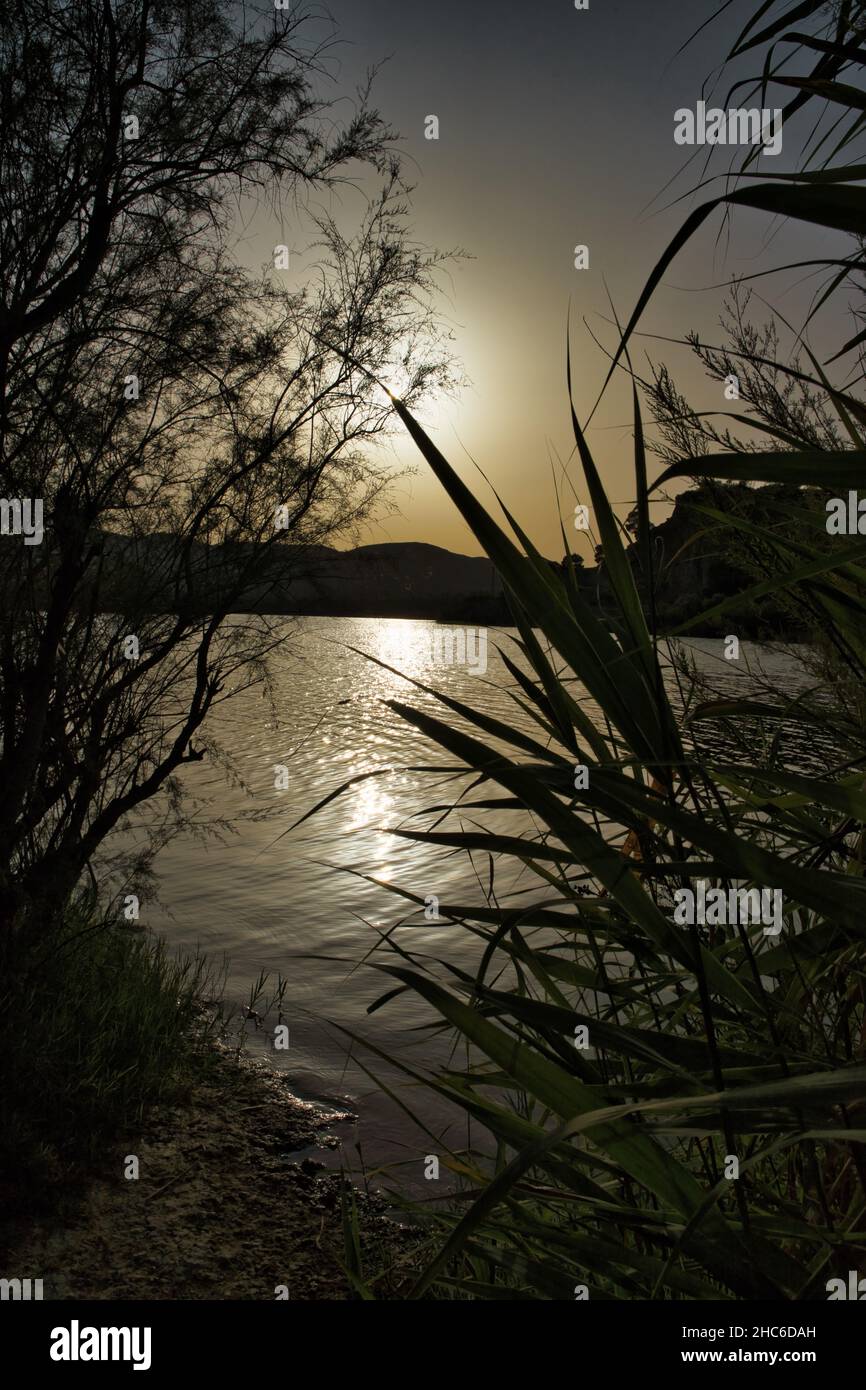 Wunderschöner Sonnenuntergang über dem ruhigen See mit Büschen und Gräsern im Vordergrund Stockfoto