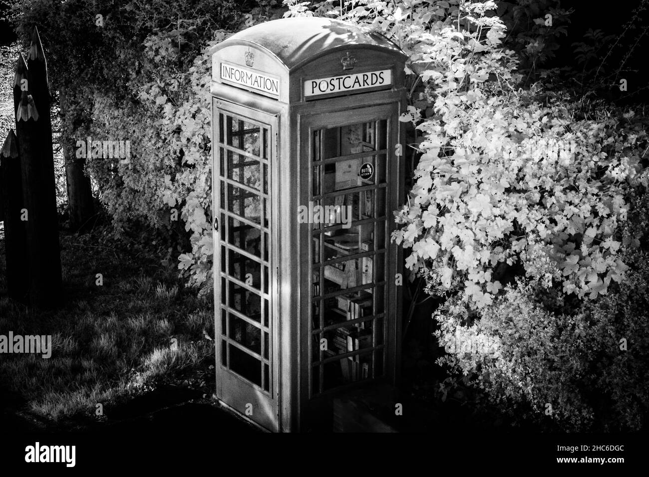 Alte Telefonbox in schwarz-weißen Farben im Wald Stockfoto