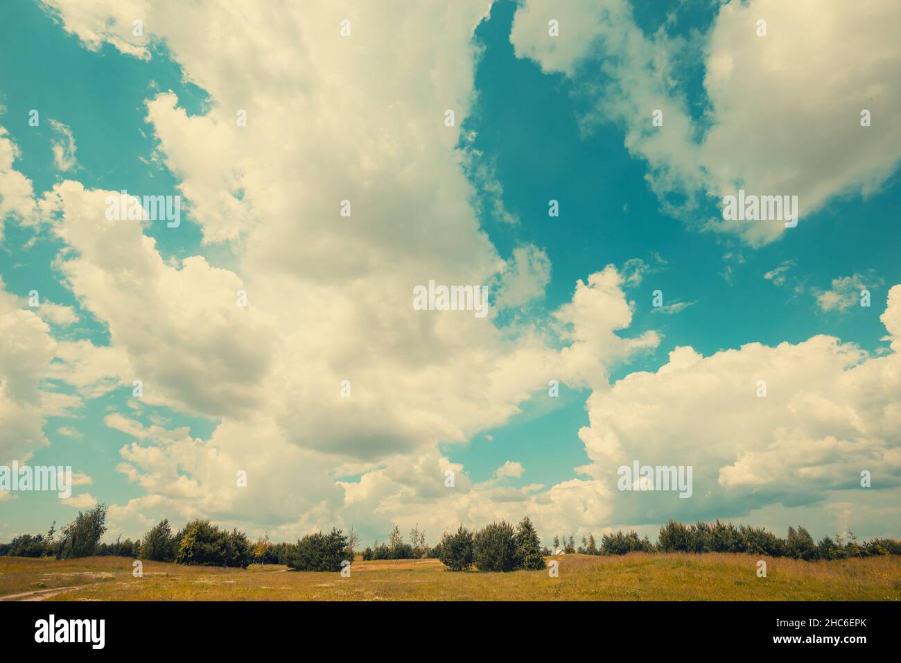Sommer ländliche Landschaft. Himmel mit flauschigen Wolken über einem unbebauten Feld an einem sonnigen Tag Stockfoto
