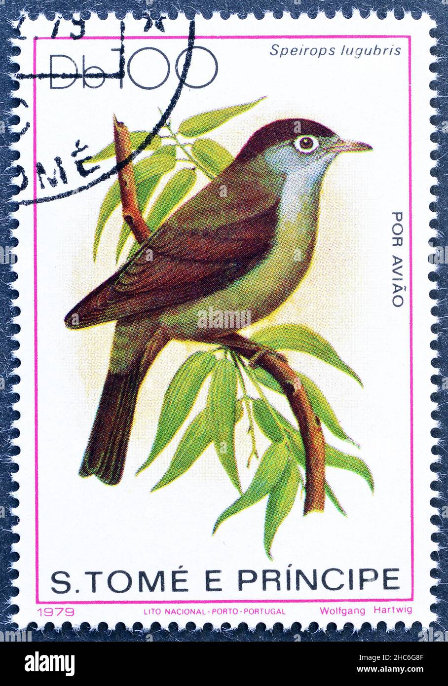 Abgesagte Briefmarke gedruckt von São Tomé und Príncipe , die schwarz-kappige Speirops (Zosterops lugubri) zeigt, um 1979. Stockfoto