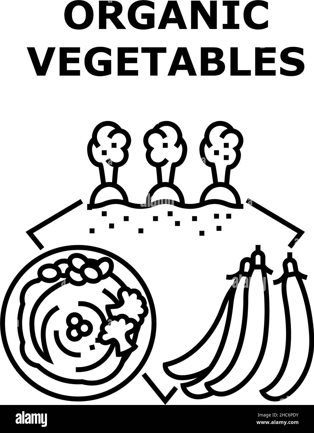 Bio Gemüse Konzept Schwarz Illustration Stock Vektor