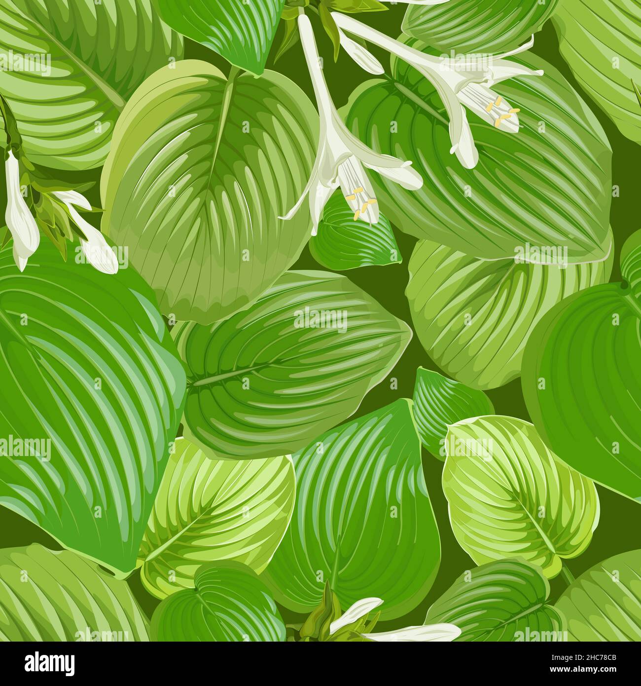 Nahtloses Muster mit Blättern und Blüten von Wirten auf grünem Hintergrund Stock Vektor