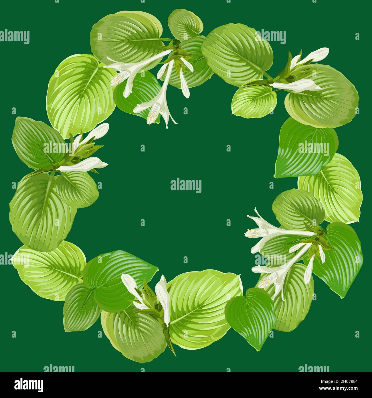 Runder Rahmen aus Hostablättern und Blumen auf grünem Hintergrund Stock Vektor