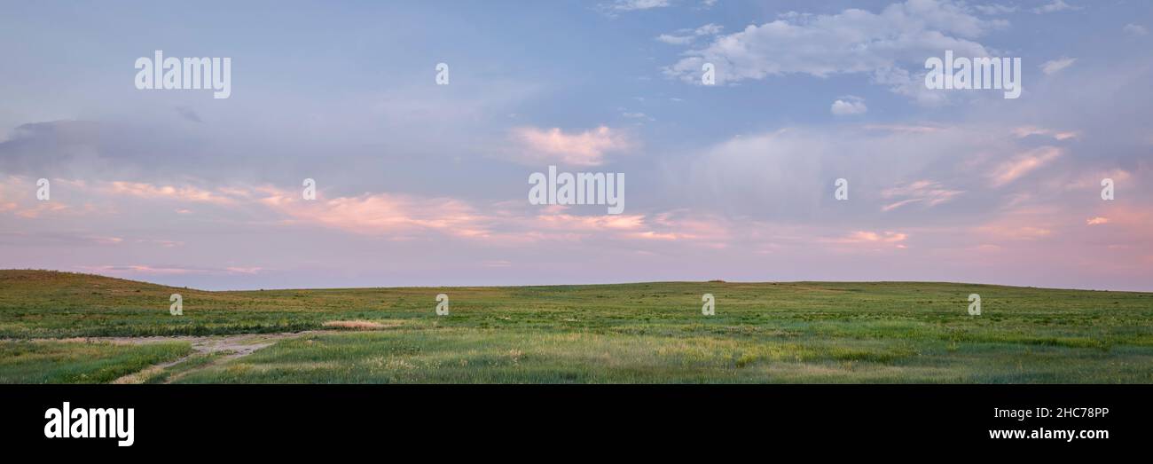 Abenddämmerung über der grünen Prärie - Pawnee National Grassland in Colorado, Landschaft im späten Frühling oder Frühsommer, Panorama-Webbanner Stockfoto