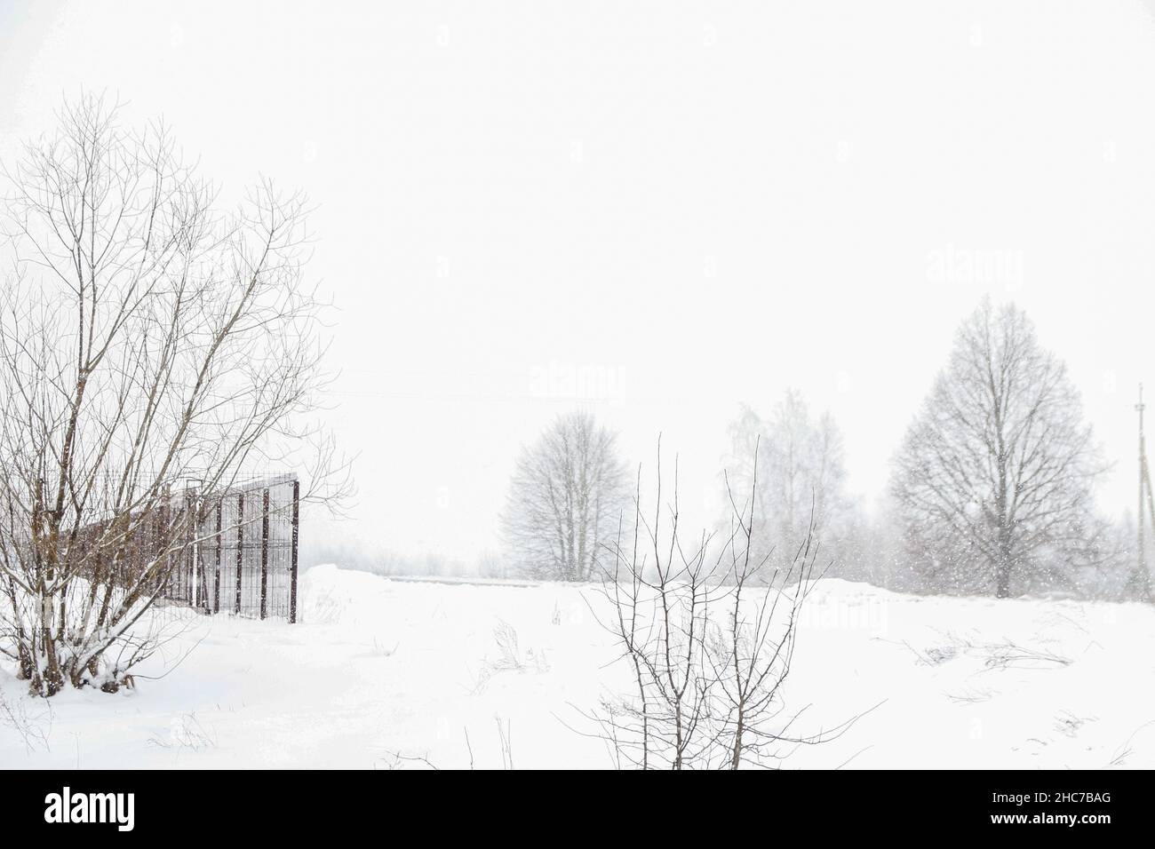 Minimalistische Landschaft in der verschneiten Wintersaison. Frostiger Wintermorgen. Hintergrundkonzept für kaltes Wetter. Geheimnisvolle Winterszene: Dunkle Bäume Silhouetten Stockfoto