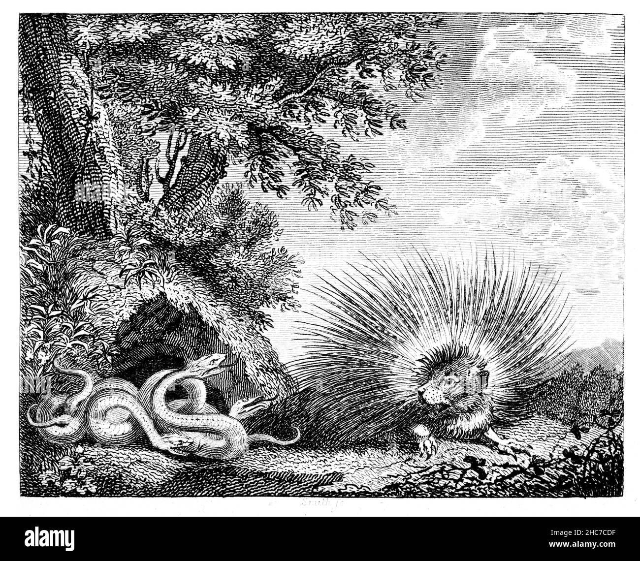 Gravierte Illustration des Stachelschweins und der Schlangen, mit der moralischen, Gastfreundschaft ist eine Tugend, aber sollte sorgfältig ausgeübt werden, aus 1793 erste Edi Stockfoto