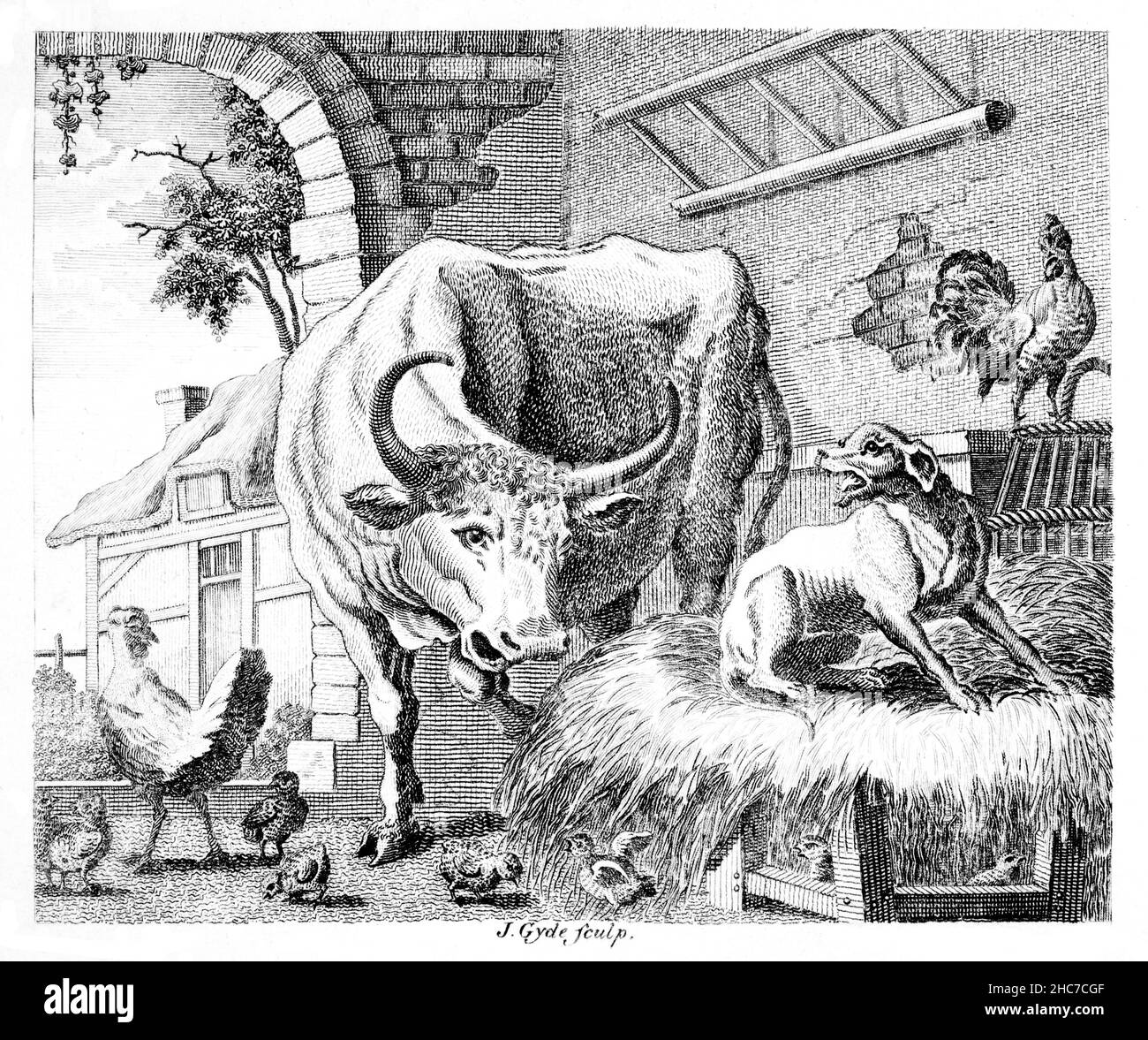Gravierte Illustration des Hundes in der Krippe, mit der Moral, ermuntern Sie andere nicht, was Sie nicht genießen können, aus der ersten Ausgabe von Stockd 1793 Stockfoto