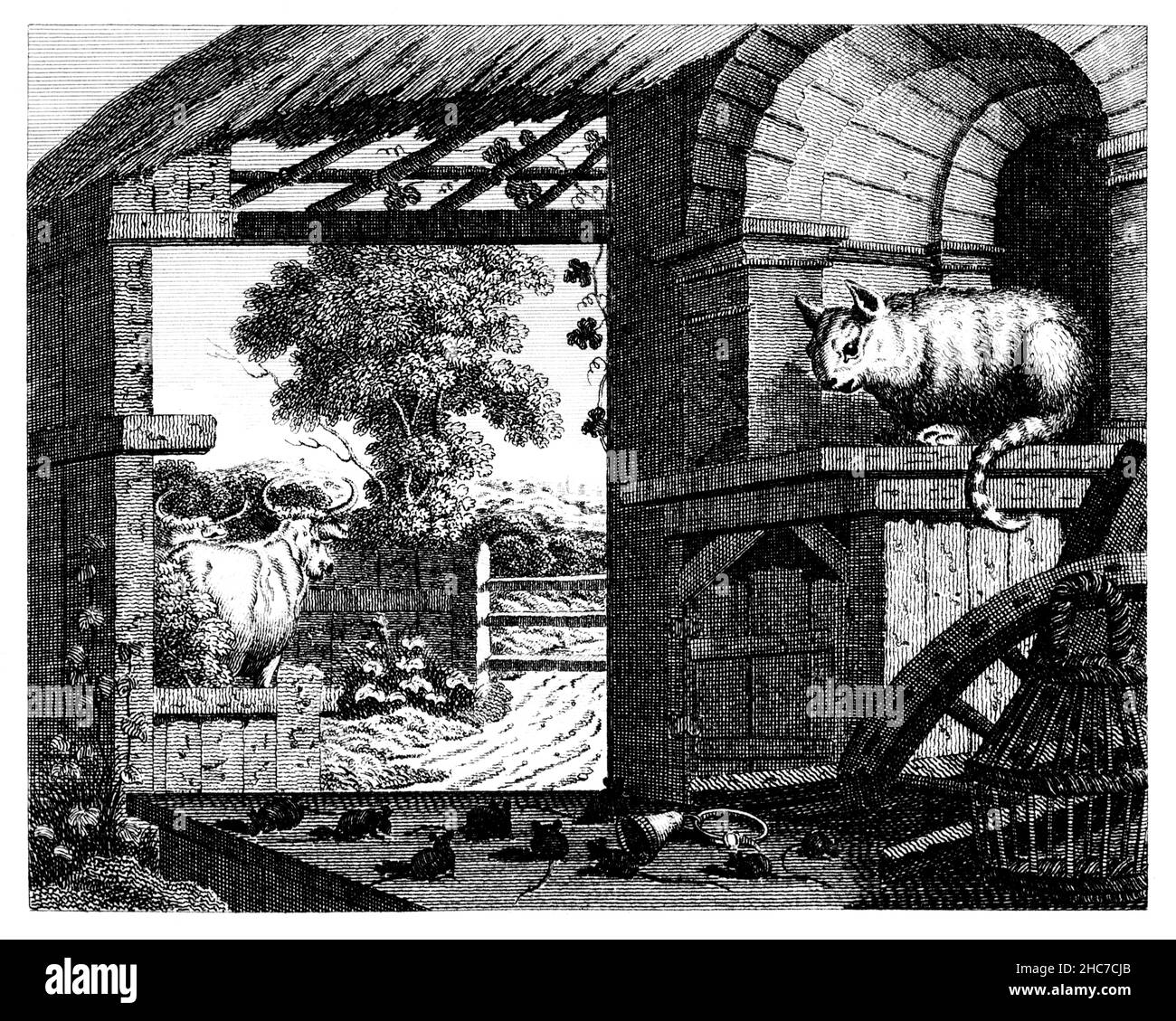 Gravierte Illustration der Katze und der Mäuse, eine Geschichte, die nicht ausgetrickst zu werden, wenn jemand gefährlich scheint, ihr Verhalten zu ändern, aus dem Jahr 1793 erste Edi Stockfoto