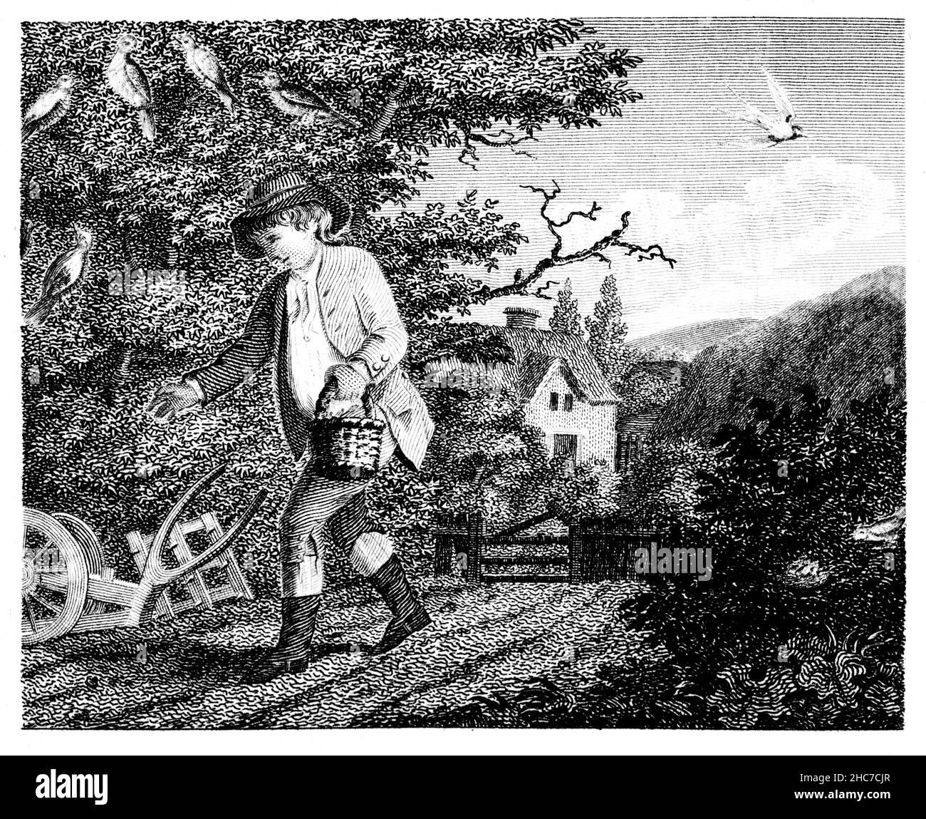 Eingravierte Illustration der Schwalbe und andere Vögel, mit der Moral, zerstören den Samen des Bösen, oder es wird sich zu Ihrem Ruin, aus dem Jahr 1793 erste Ed Stockfoto