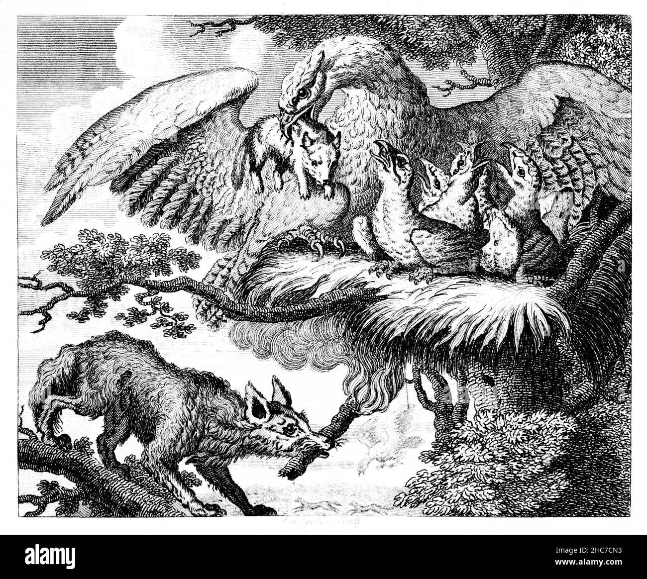 Eingravierte Illustration des Adlers und des Fuchses, eine Geschichte der Freundschaft, verraten und verunglimpft, aus der ersten Ausgabe von Stockdale’s Aesop’s Fables von 1793 Stockfoto