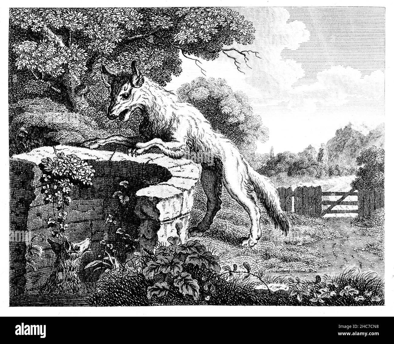 Gravierte Illustration des Fuchses im Brunnen, bei dem ein Gefallen durch eine gute Zeiteinstellung verdoppelt wird, aus der ersten Ausgabe von Stockdale’s Aesop’s Fables von 1793 Stockfoto