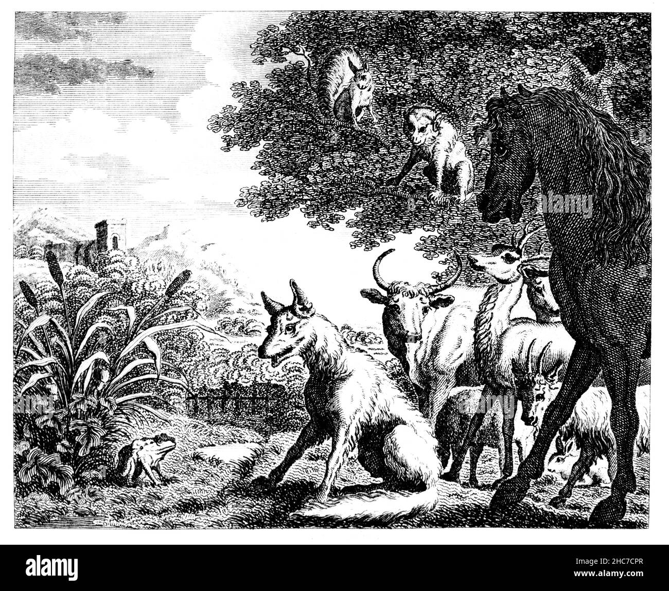 Eingravierte Illustration des Frosches und des Fuchses, humorvolle Geschichte gegen Quacksalber-Ärzte, aus der ersten Ausgabe von Stockdale’s Aesop’s Fables von 1793 Stockfoto