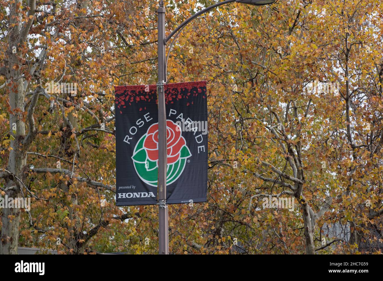 Schild, das das anstehende Roseturnier 2022 gegen Laub ankündigt. Stockfoto