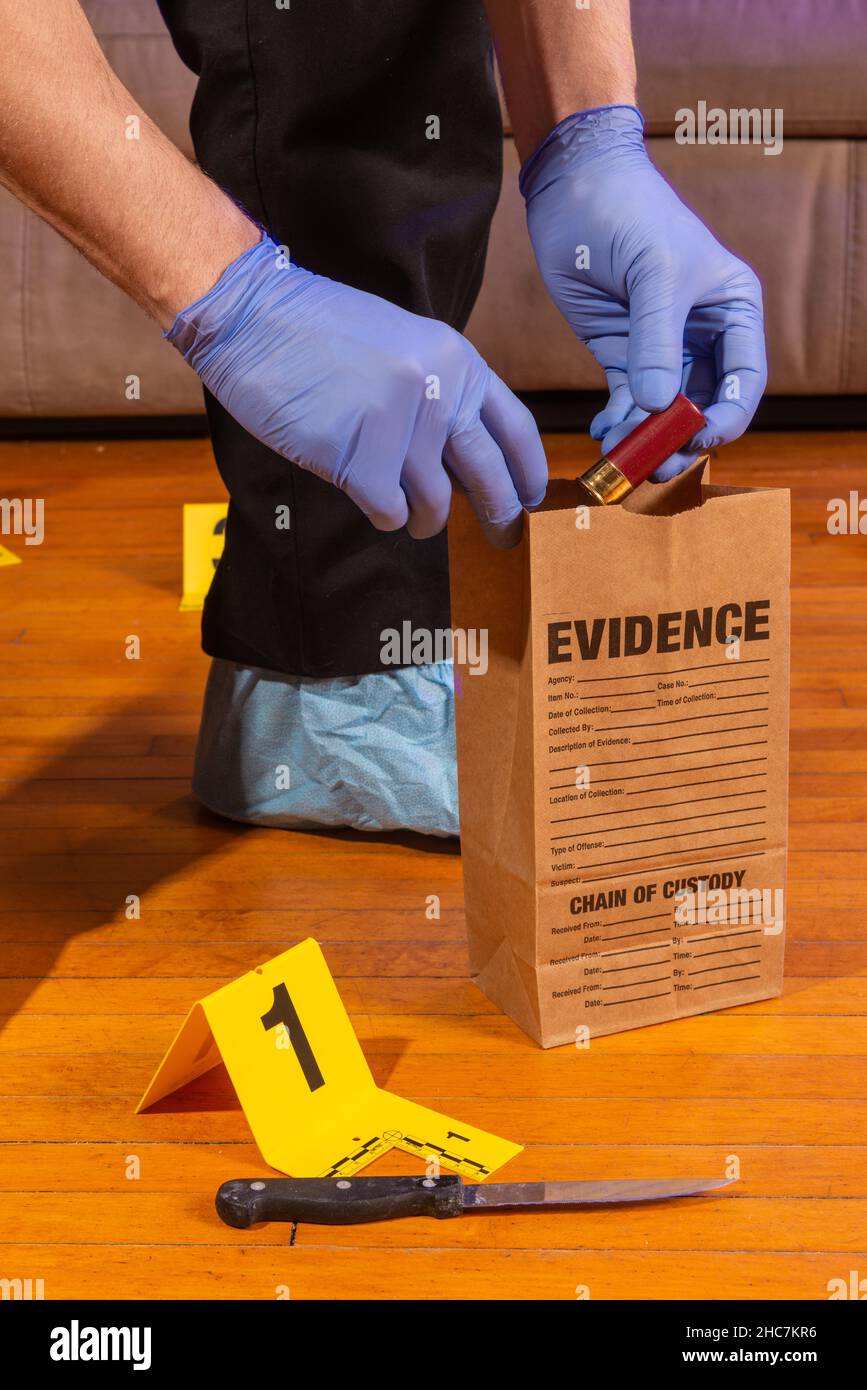 Ein Techniker am Tatort legt eine Schrotflinte in einen Beweisbeutel mit anderen Beweisstücken, die um einen Tatort verstreut sind. Stockfoto