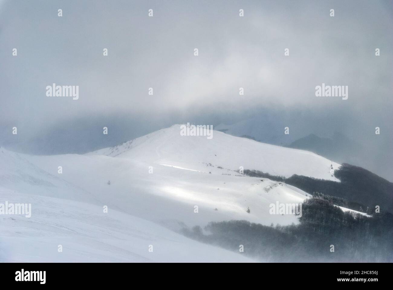 Schneesturm auf einem Bergrücken an einem bewölkten Tag, Bieszczady-Gebirge, Polen Stockfoto