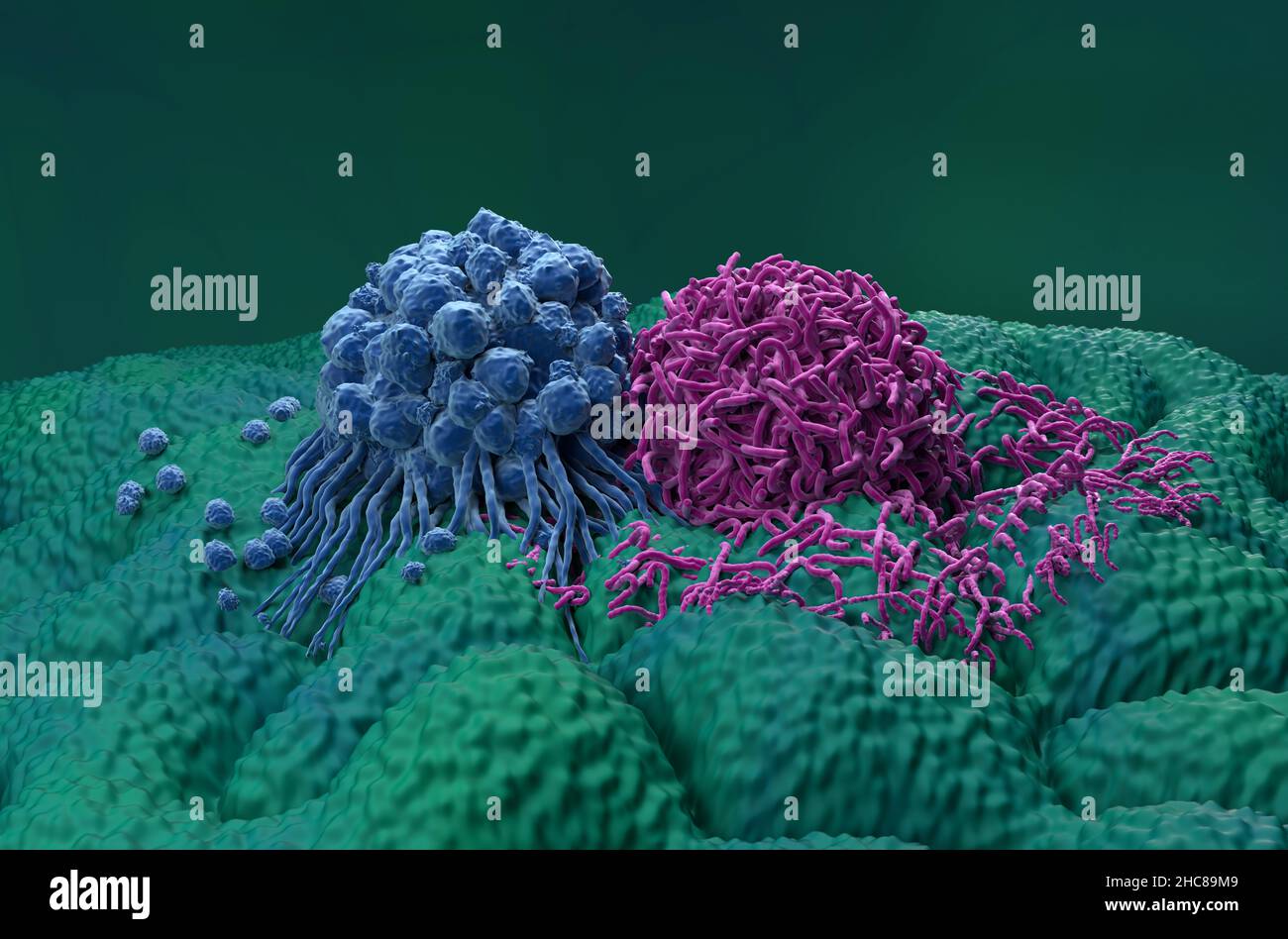 Magenkrebszellen Nahaufnahme Ansicht 3D Abbildung Stockfoto