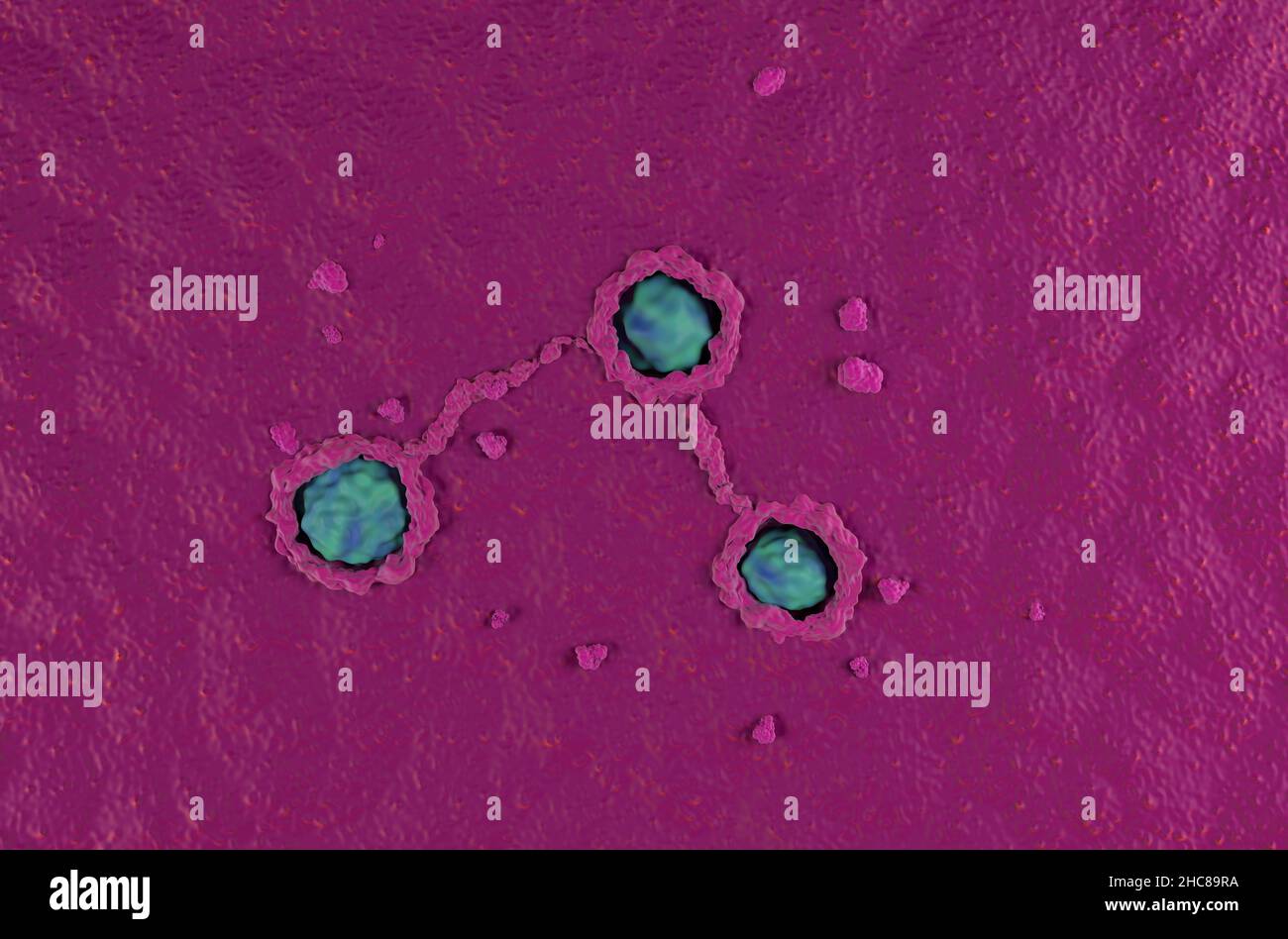 Cancer Colon Oberfläche super Makro kolorektalen Krebs Draufsicht 3D Illustration Stockfoto