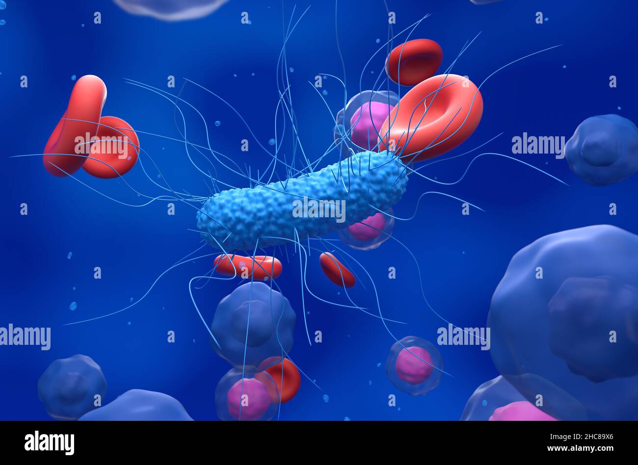 Allgemeine Bakterien im Blutfluss - Nahaufnahme Ansicht 3D Abbildung Stockfoto