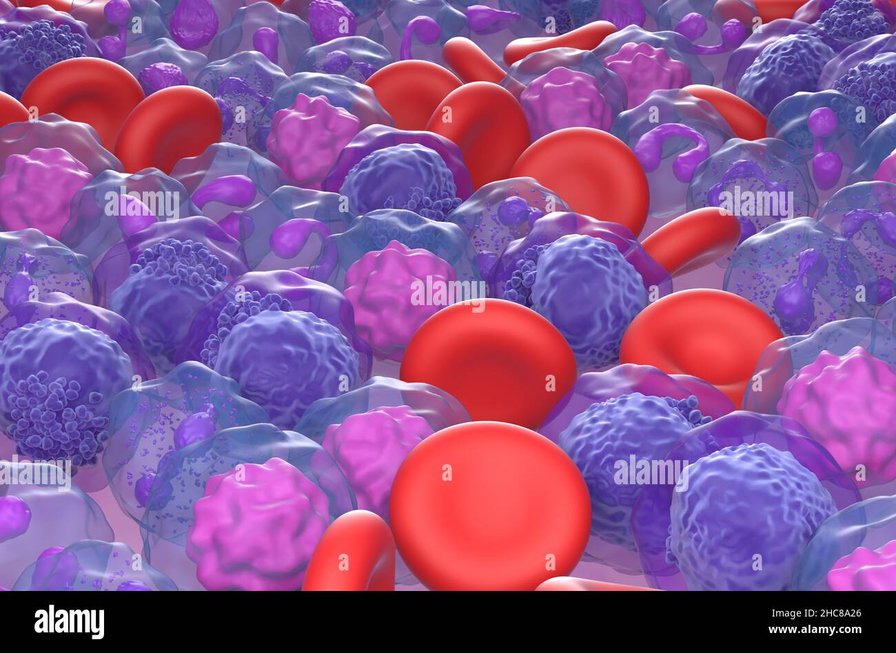 Feld der Zellen der akuten myeloischen Leukämie (AML) - Nahaufnahme Ansicht 3D Abbildung Stockfoto