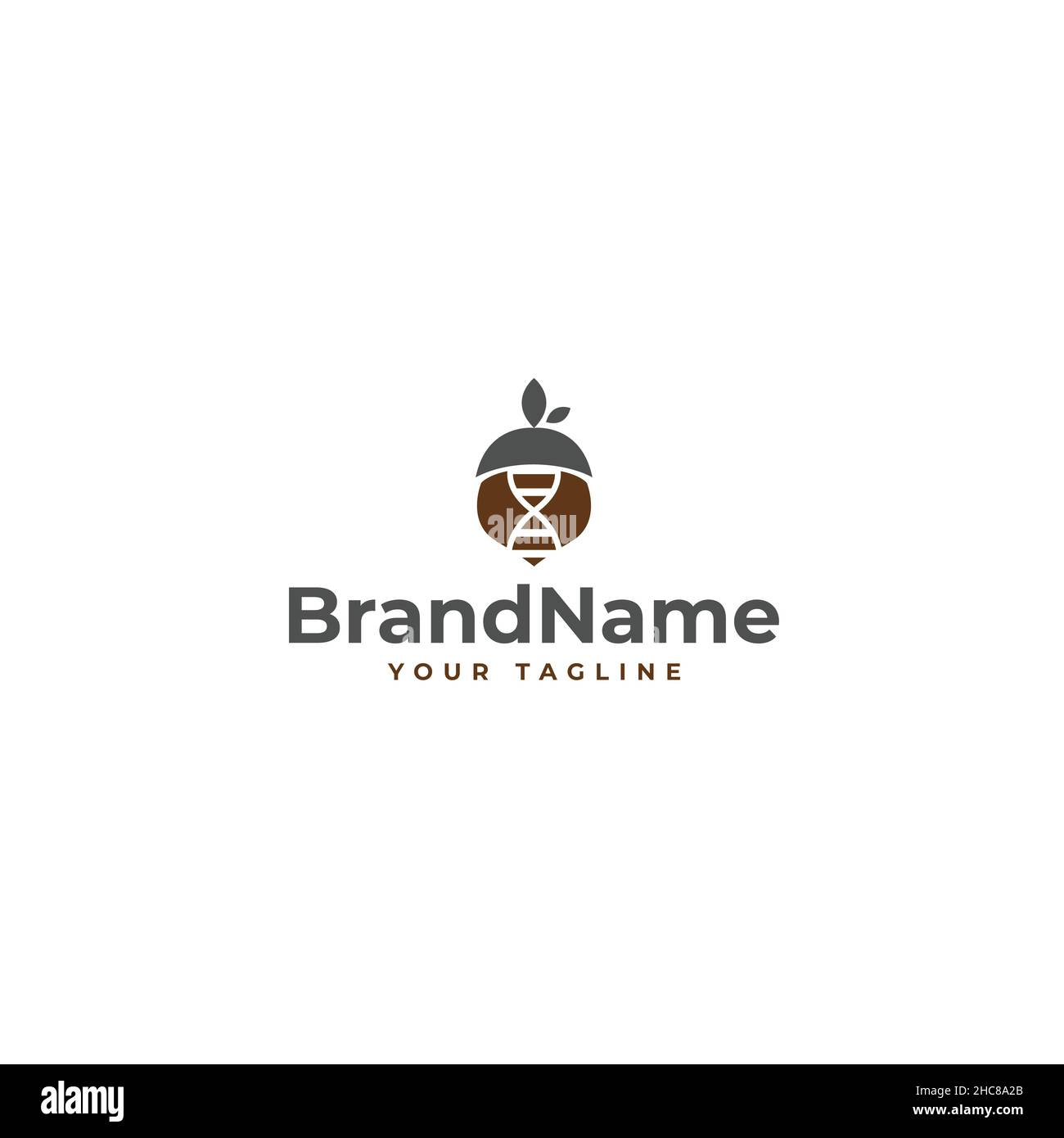 Minimalistisches farbenfrohes Oak Seeds Plants Logo-Design Stock Vektor