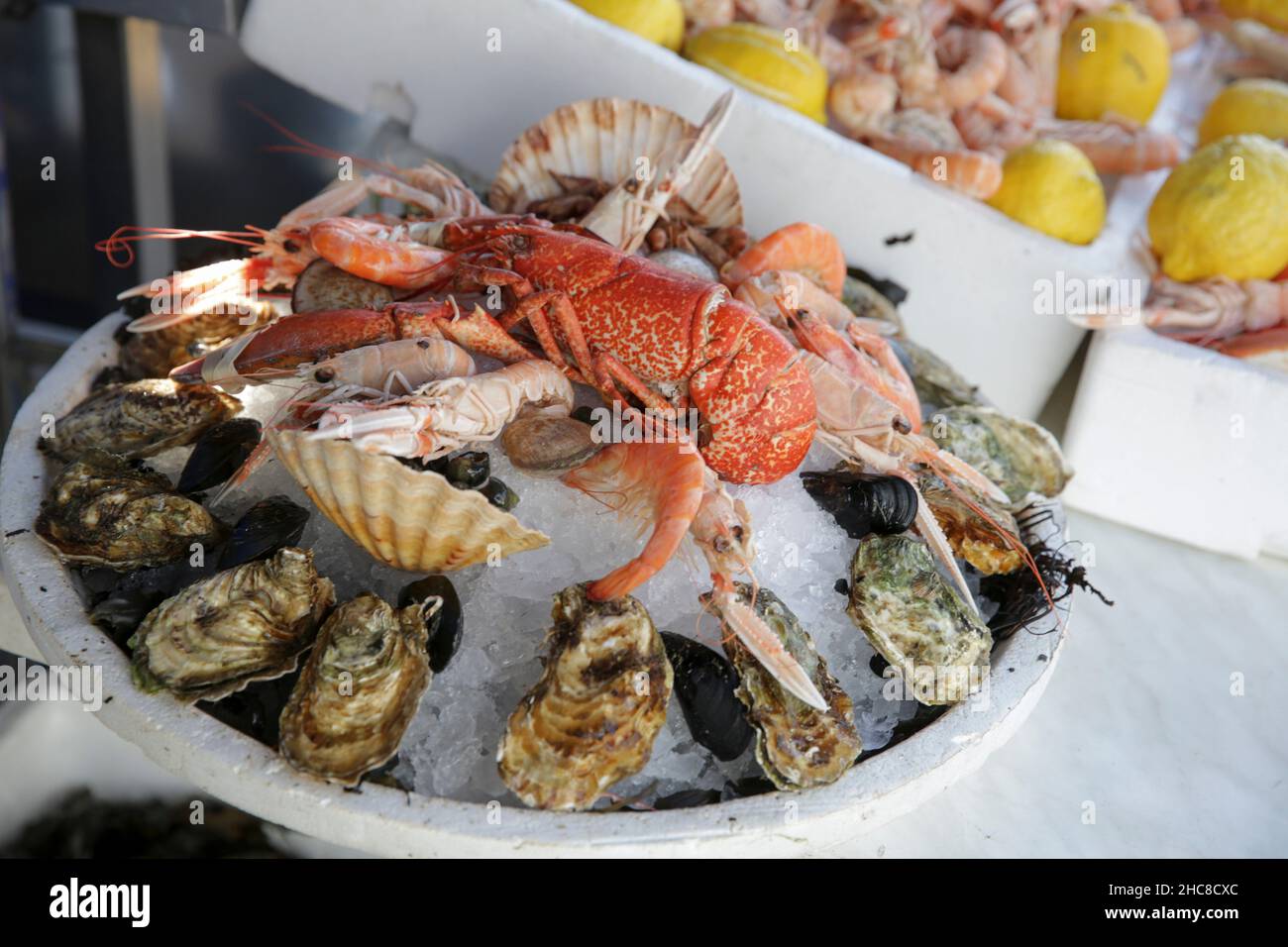 Seafood Platter – Hummer, Garnelen und Austern auf Eis. Fotografiert in Nizza, Frankreich Stockfoto