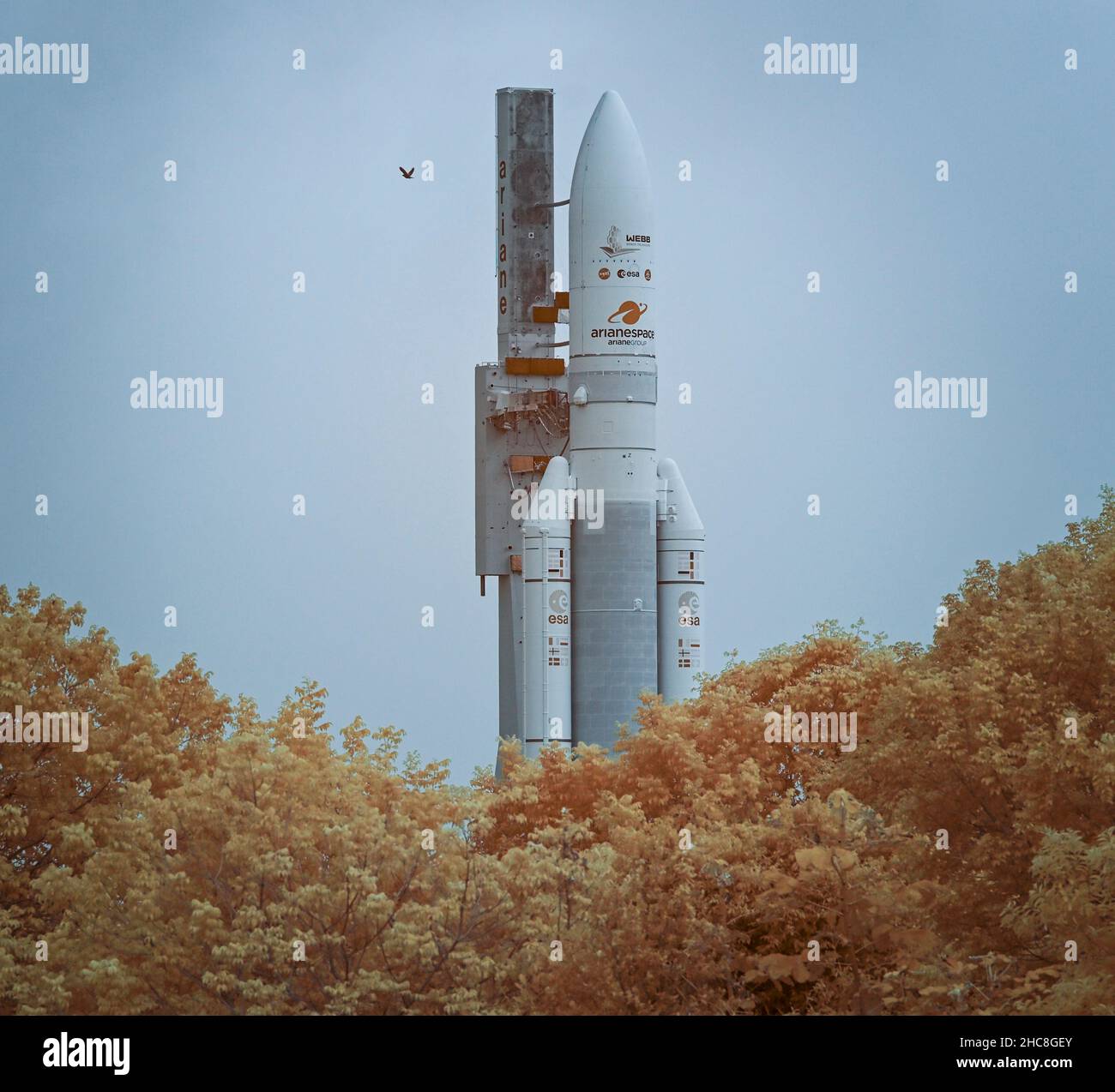 Die Ariane 5-Rakete von Arianespace, mit dem James Webb Space Telescope der NASA an Bord, wird in dieser Infrarotstrahlung mit falscher Farbe gesehen, während sie am Donnerstag, den 23. Dezember 2021, am europäischen Weltraumbahnhof, auf die Startfläche ausgerollt wird. Das Weltraumzentrum Guayana in Kourou, Französisch-Guayana. Das James Webb Weltraumteleskop (manchmal auch JWST oder Webb genannt) ist ein großes Infrarotteleskop mit einem Primärspiegel von 21,3 Fuß (6,5 Meter). Das Observatorium wird jede Phase der kosmischen Geschichte untersuchen – von unserem Sonnensystem bis zu den entferntesten beobachtbaren Galaxien im frühen Universum.obligatorische Quelle: Bill Ingalls/NASA via CNP /Media Stockfoto