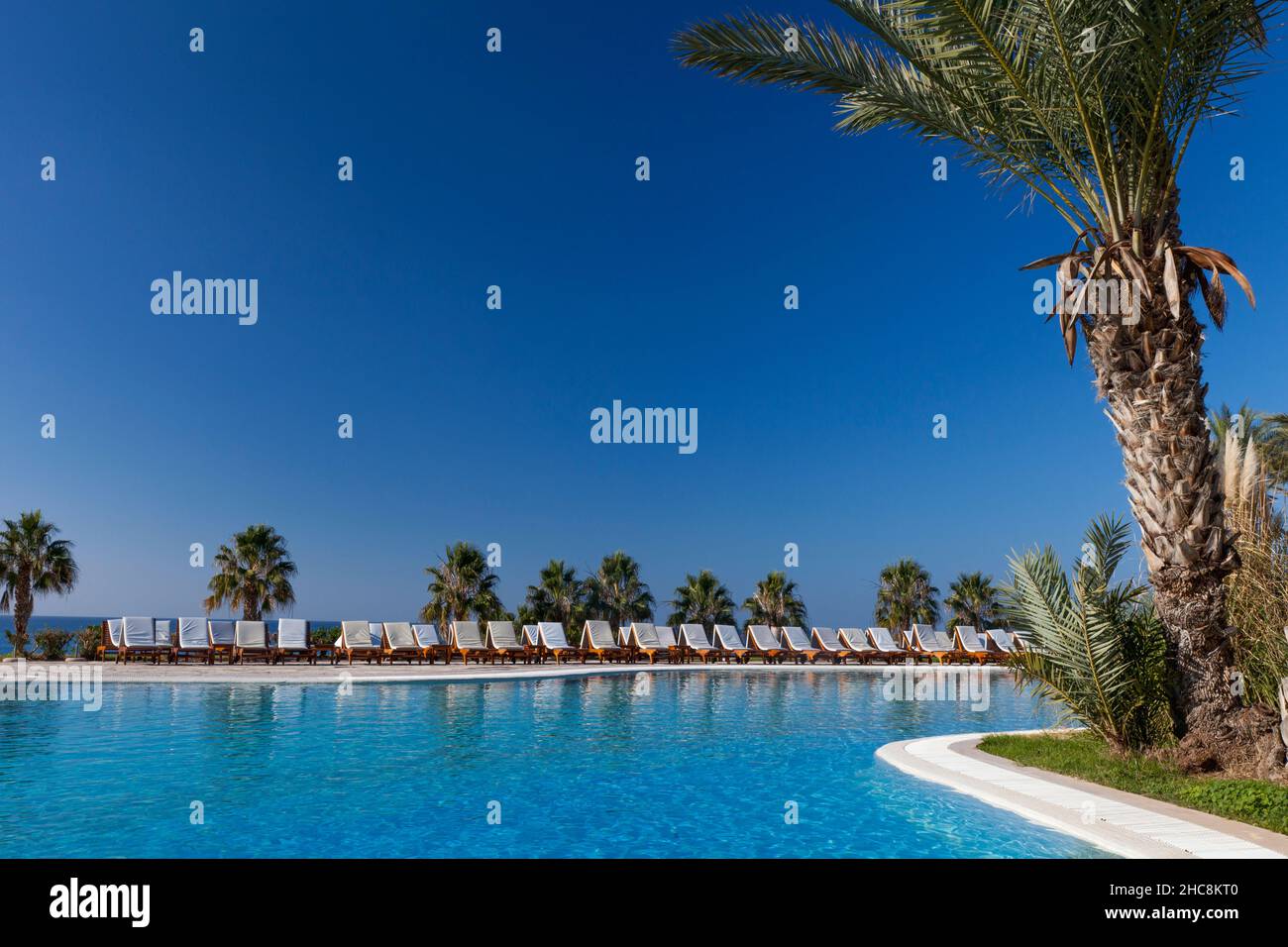 Hotel-Swimmingpool mit Palmen, Insel Zypern, östliches Mittelmeer Stockfoto