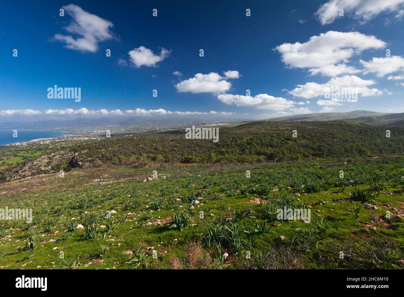 Blick auf das Naturschutzgebiet der Halbinsel Akamas, Blick nach Osten, Insel Zypern, östliches Mittelmeer Stockfoto