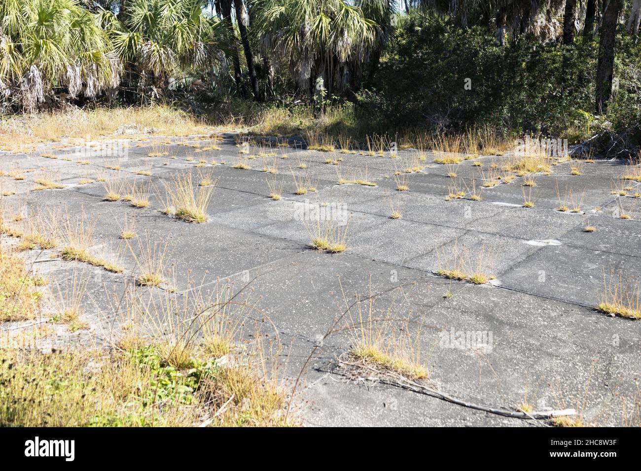 Die Ruinen des Tennisplatzes in Fort Dade bei Egmont Key in St. Petersburg, Florida. Stockfoto